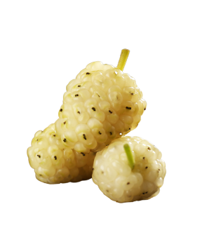 Dried White Mulberries